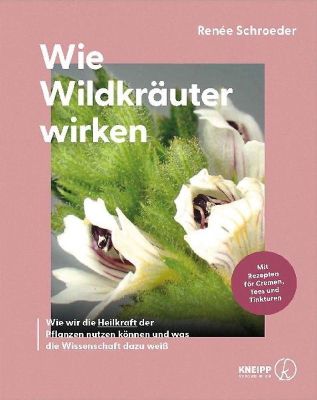 Wie Wildkräuter wirken
