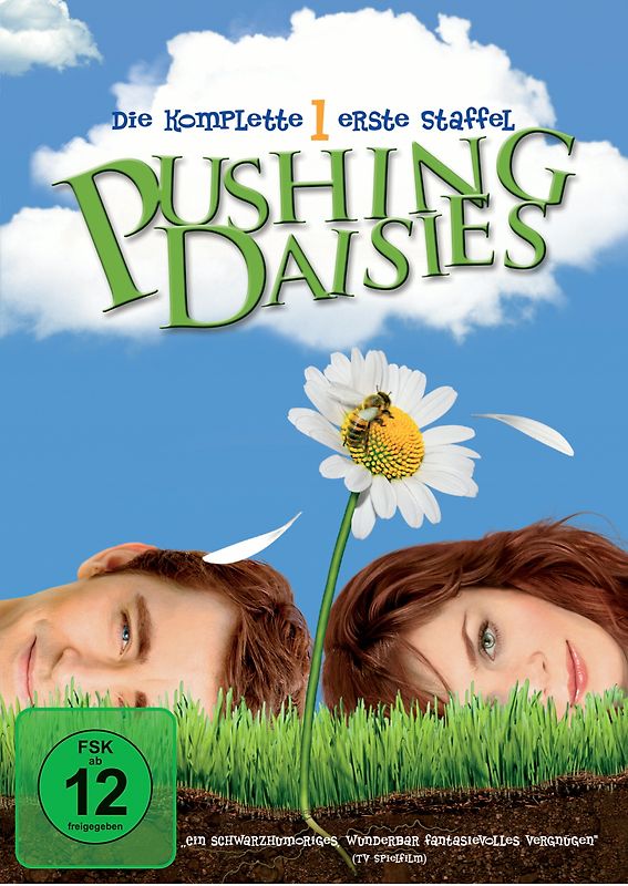 Pushing Daisies - Die komplette erste Staffel [3 DVDs] DVD