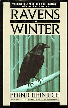 Ravens in Winter (Vintage)