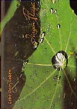 Lebe Dein Leben. (Ed. Kiefel)