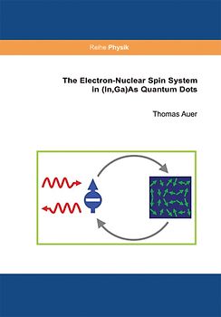 The Electron-Nuclear Spin System in (In,Ga)As Quantum Dots