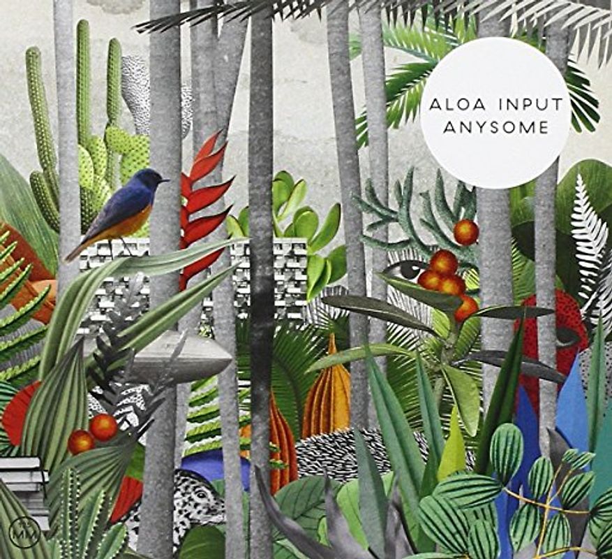 Aloa Input - Anysome