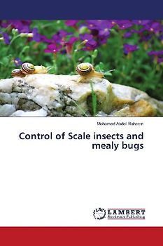 Control of Scale insects and mealy bugs