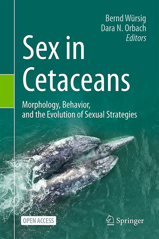 Sex in Cetaceans