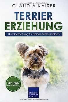 Terrier Erziehung: Hundeerziehung für Deinen Terrier Welpen