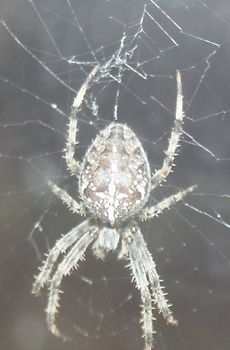 War ich bisher ein Drachentöter