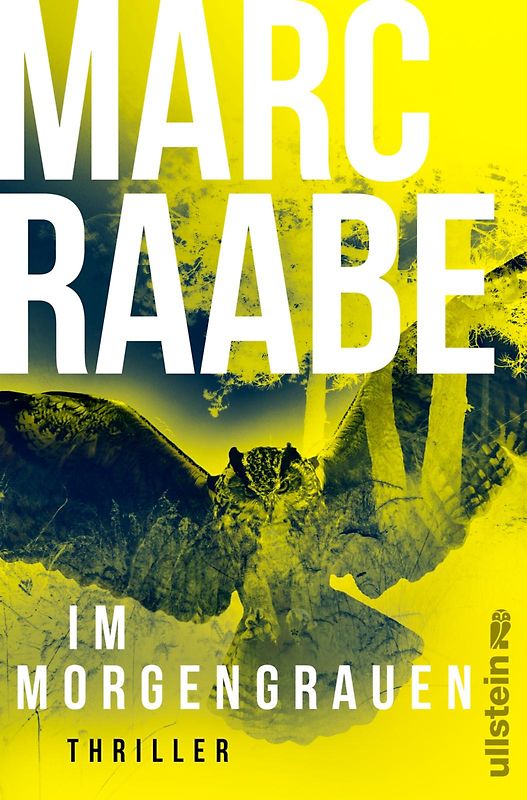 Im Morgengrauen (Art Mayer-Serie 4)