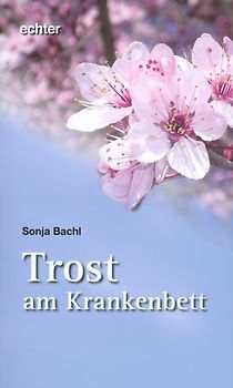 Trost am Krankenbett