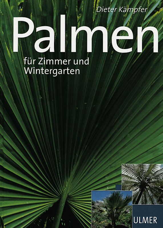 Palmen