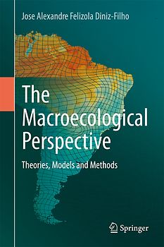 The Macroecological Perspective