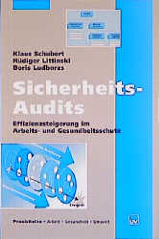 Sicherheits-Audits