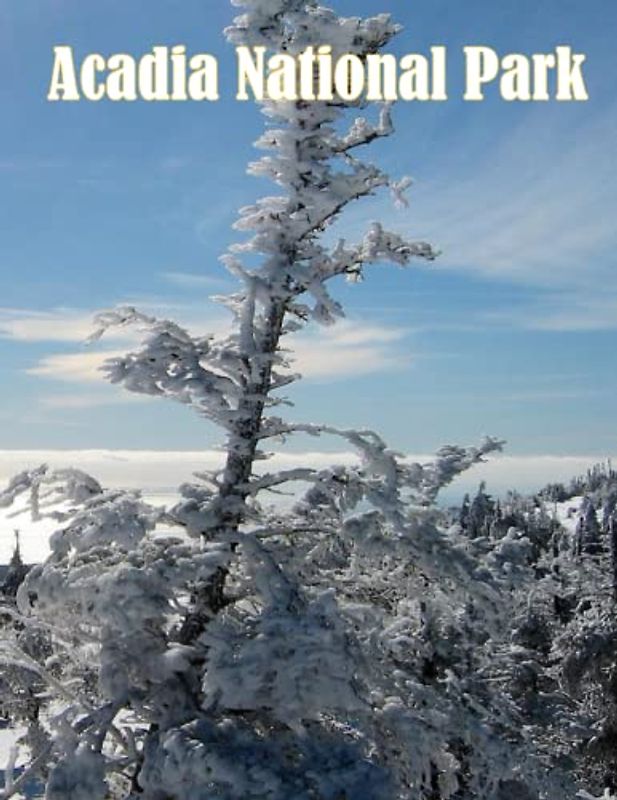 Acadia National Park: a Wild Place of Sea, Stone, and Forest, a Stunning Fall Foliage, a Place to Experience the End of the World Feel (Wanderlust ... of National Parks Around the World, Band 6)