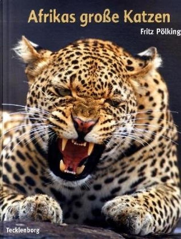 Afrikas große Katzen