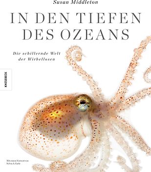 In den Tiefen des Ozeans