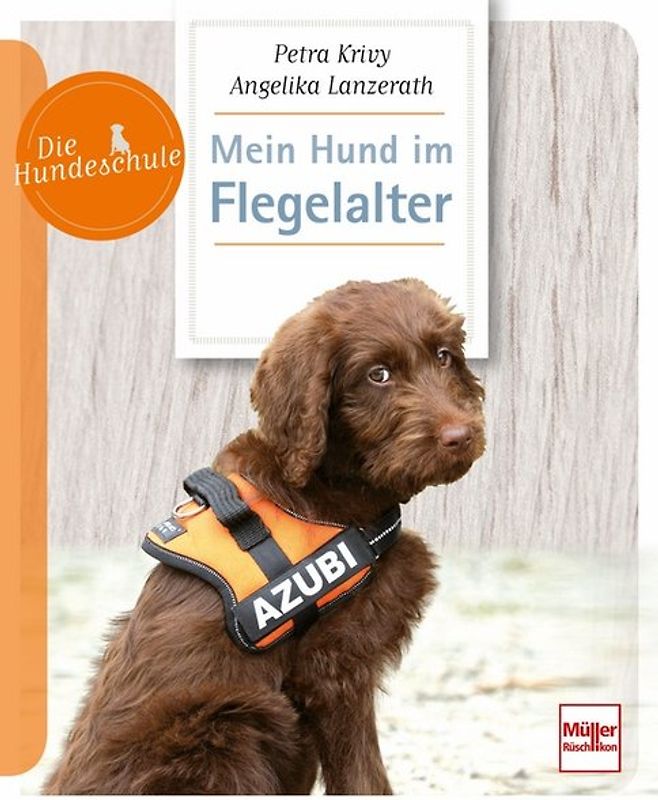 Mein Hund im Flegelalter