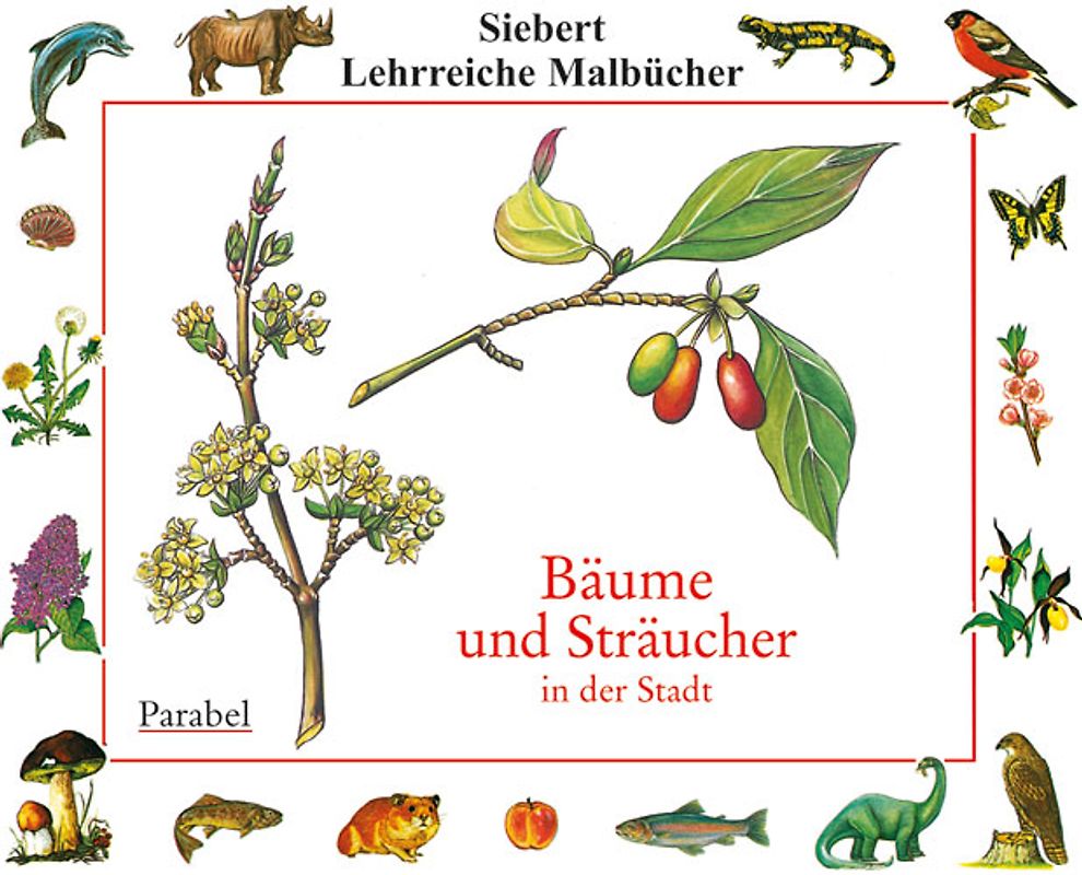 Bäume und Sträucher in der Stadt. Malbuch