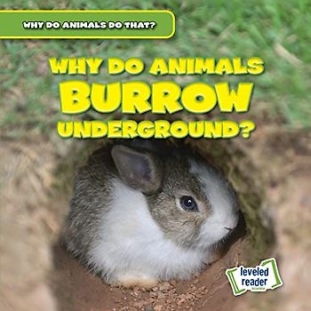 Why Do Animals Burrow Underground? (Why Do Animals Do That?)