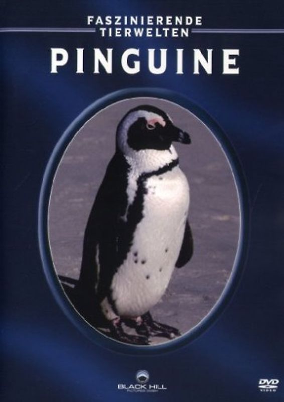 Pinguine - Faszinierende Tierwelten DVD