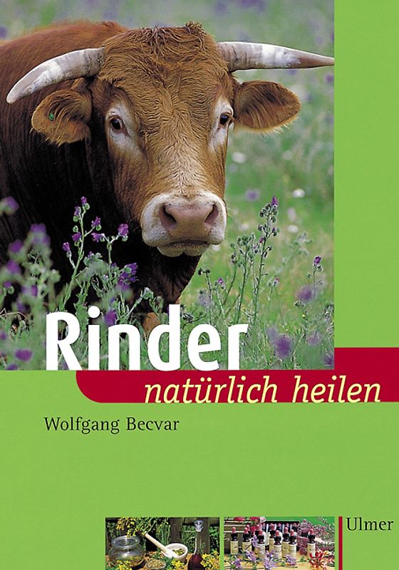 Rinder natürlich heilen