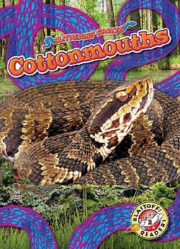 Cottonmouths
