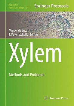 Xylem