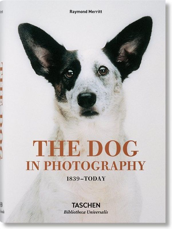 The Dog in Photography 1839–Today