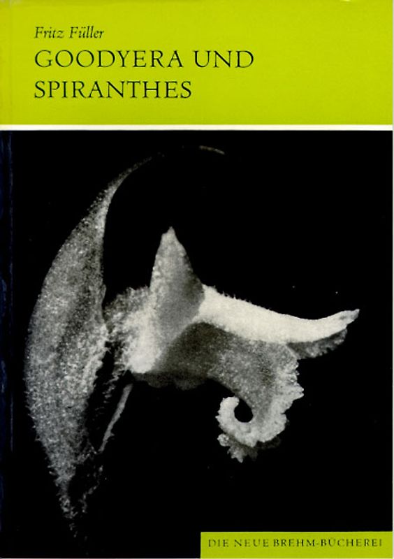 Orchideen Mitteleuropas / Goodyera und Spiranthes