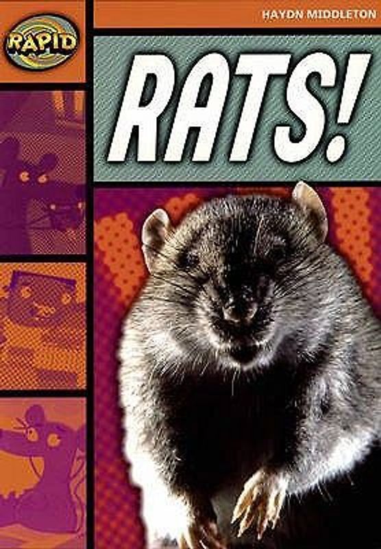 Rapid Reading: Rats! (Stage 4, Level 4b)