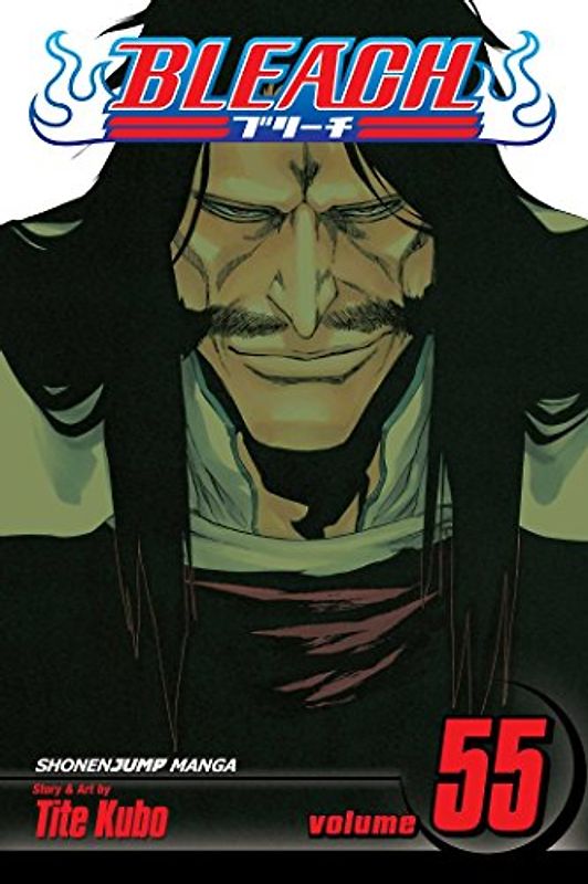 Bleach Volume 55: The Blood Warfare