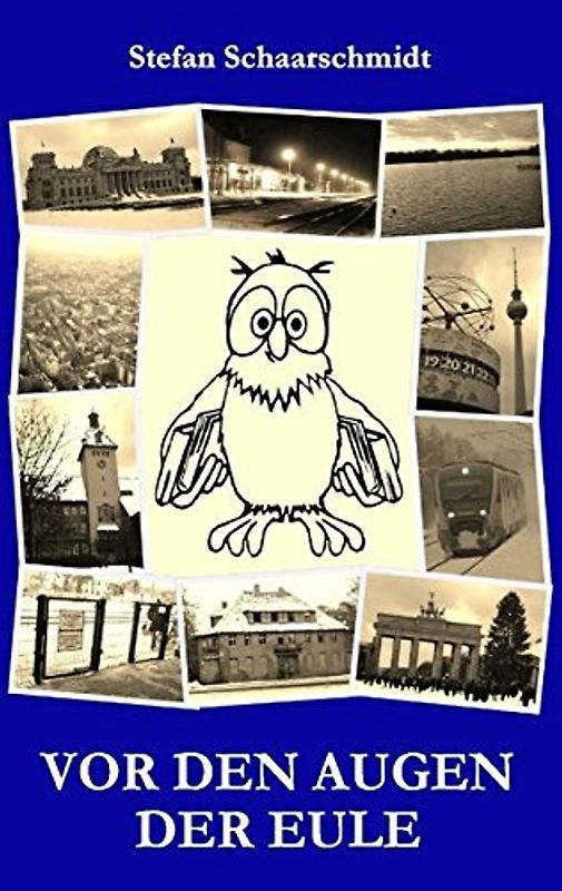 Vor den Augen der Eule