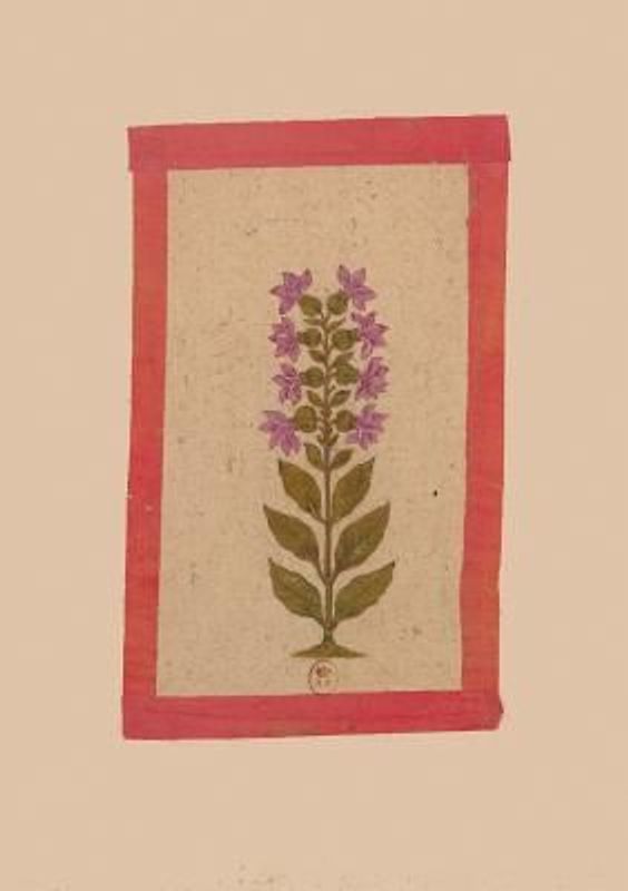 Carnet Ligné Fleur 2, Miniature Indienne 18e Siècle