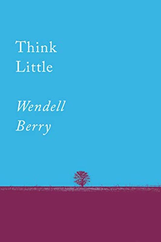 Think Little: Essays
