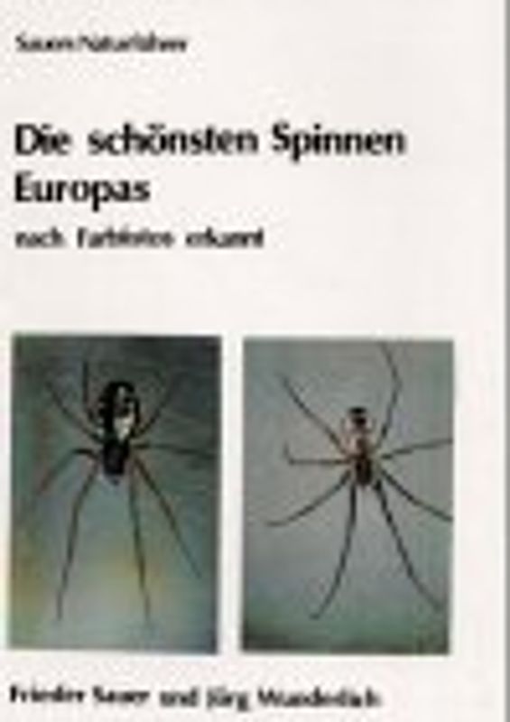 Die schönsten Spinnen Europas