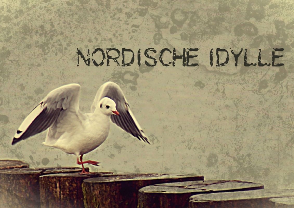 Nordische Idylle (Posterbuch DIN A3 quer)
