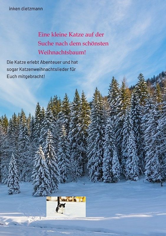 Eine kleine Katze auf der Suche nach dem schönsten Weihnachtsbaum!