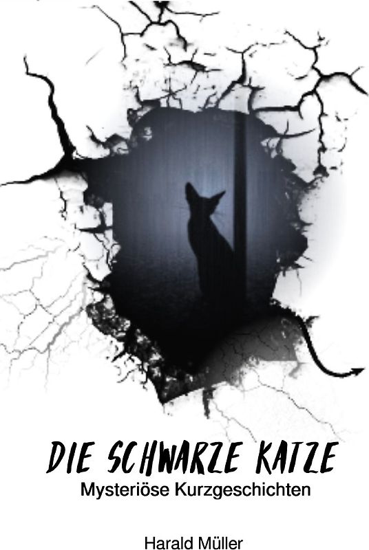 Die schwarze Katze - Mysteriöse Kurzgeschichten
