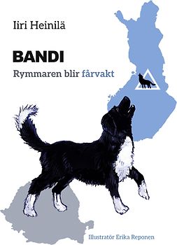Bandi - Rymmaren blir fårvakt