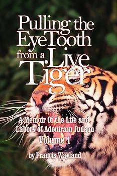 Pulling the Eyetooth from a Live Tiger
