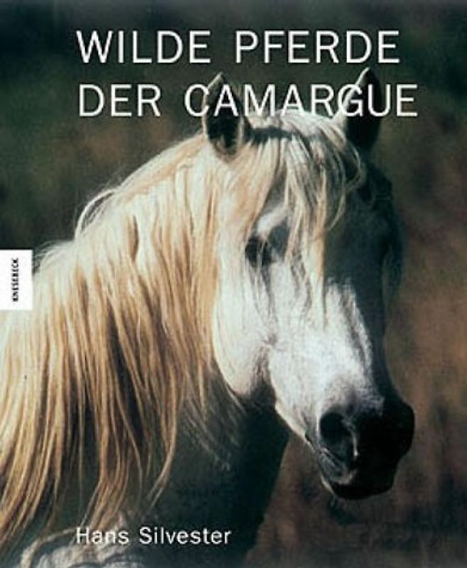 Wilde Pferde der Camargue