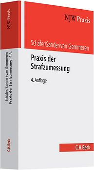 Praxis der Strafzumessung