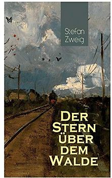 Der Stern über dem Walde: Mit psychologischem Feinsinn und großer sprachlicher Suggestivkraft beschreibt Stefan Zweig eine unwahrscheinliche Liebesbeziehung