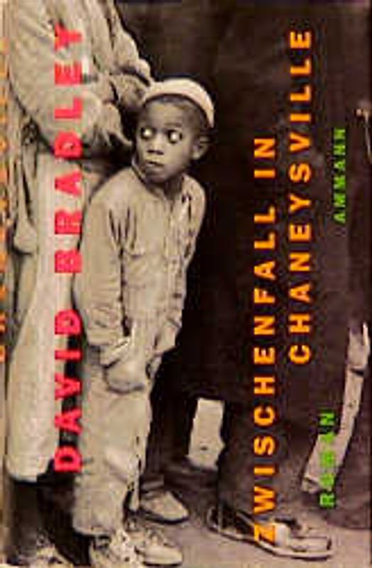 Zwischenfall in Chaneysville. Roman