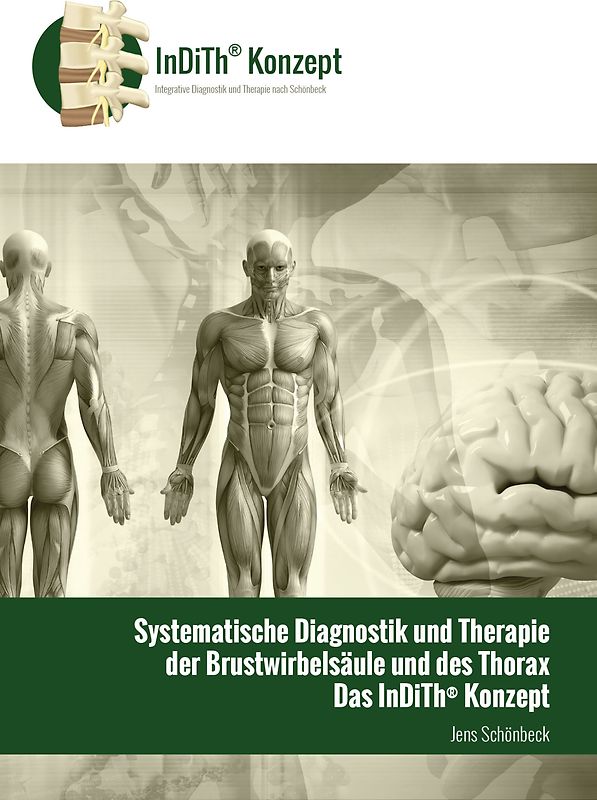 systematische Diagnostik und Therapie der Brustwirbelsäule und der Rippen