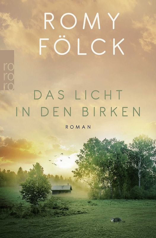 Das Licht in den Birken