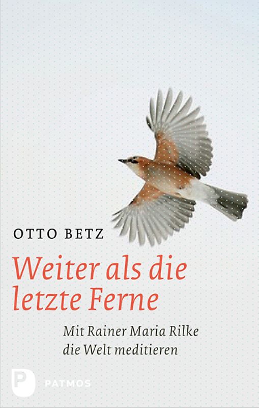 Weiter als die letzte Ferne