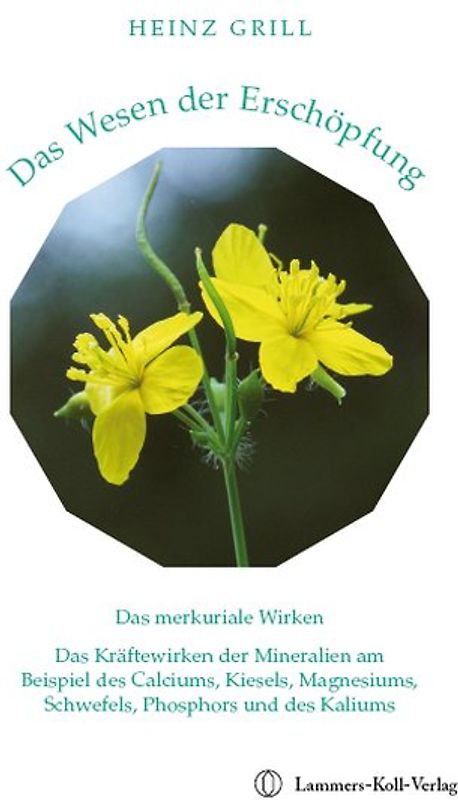 Das Wesen der Erschöpfung