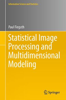 Statistical Image Processing and Multidimensional Modeling