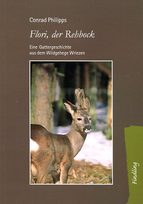 Flori, der Rehbock