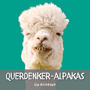Querdenker-Alpakas