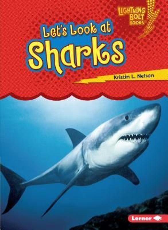 Let's Look at Sharks